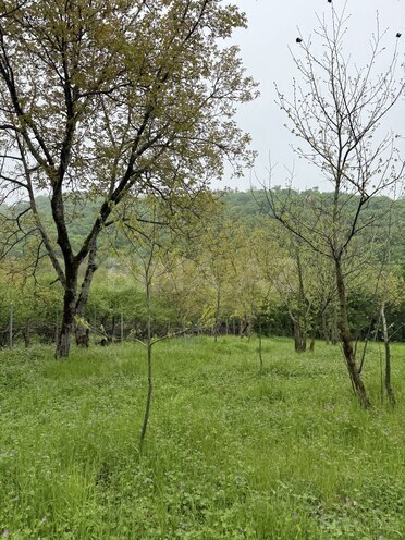 Продаётся  участок 4 сот, photo 17 from 19
