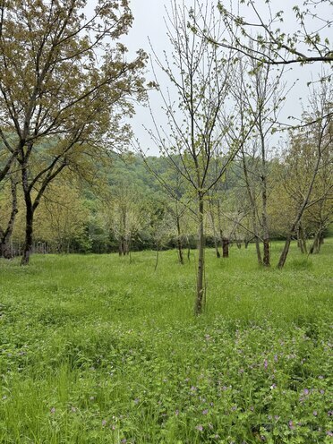 Продаётся  участок 4 сот, photo 13 from 19