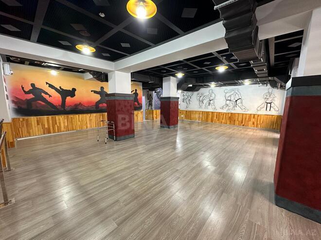 Продаётся  объект 200 м², м. Шах Исмаил Хатаи, photo 6 from 22