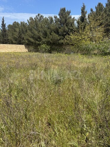 Продаётся  участок 3 сот, пос. Новханы, photo 3 from 7