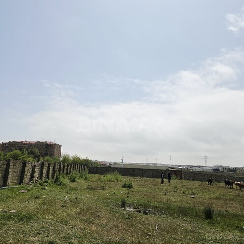 Satılır  torpaq 100 sot, Müşfiqabad q., photo 24 from 26