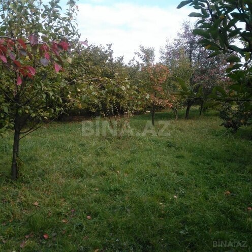 Продаётся  участок 37 сот, Набрань р., photo 3 from 5