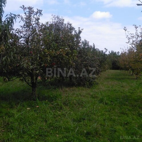 Продаётся  участок 37 сот, Набрань р., photo 4 from 5