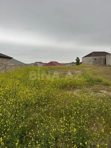 Продаётся  участок 10 сот, пос. Шаган, photo 1 from 17