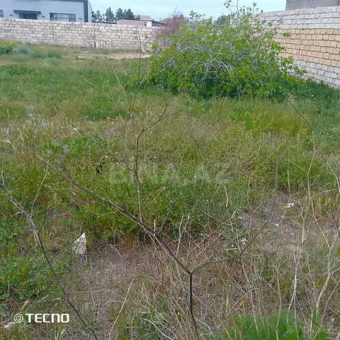 Продаётся  участок 15 сот, пос. Шувеляны, photo 8 from 11