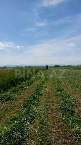 Продаётся  участок 32 сот, photo 3 from 4