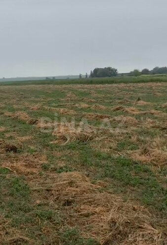 Продаётся  участок 32 сот, photo 1 from 4