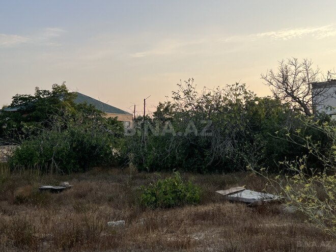 Продаётся  участок 37 сот, пос. Нардаран, photo 7 from 16