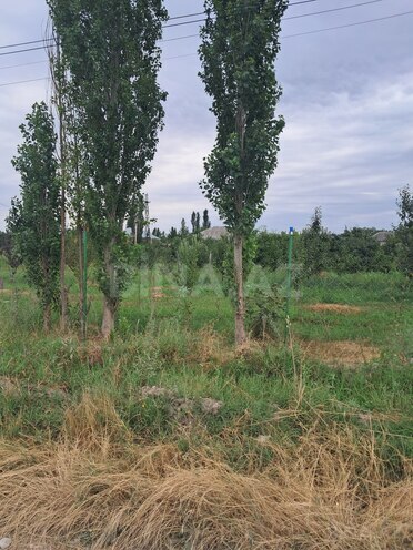 Продаётся  участок 9 сот, photo 5 from 16