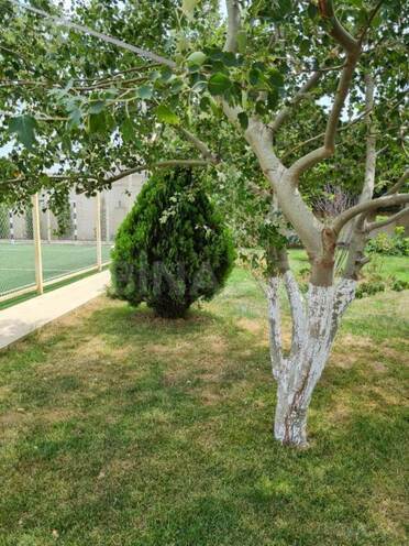 İcarəyə verilir 5 otaqlı həyət evi/bağ evi 650 m², Şüvəlan q., photo 27 from 31