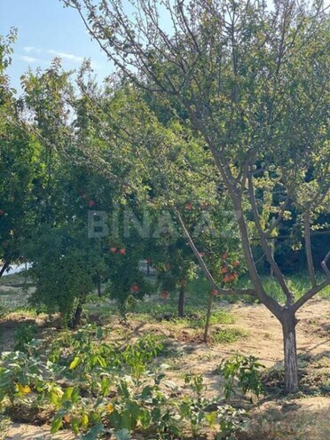 Продаётся 4-комн. дом/дача 135 м², пос. Новханы, photo 7 from 32