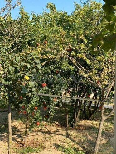 Продаётся 4-комн. дом/дача 135 м², пос. Новханы, photo 8 from 32