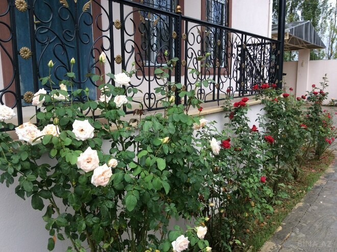 Продаётся 5-комн. дом/дача 170 м², photo 5 from 31