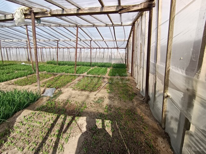 Продаётся 4-комн. дом/дача 80 м², пос. Тюркан, photo 20 from 30