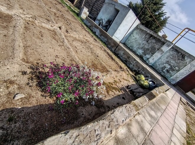 Продаётся 4-комн. дом/дача 80 м², пос. Тюркан, photo 15 from 30