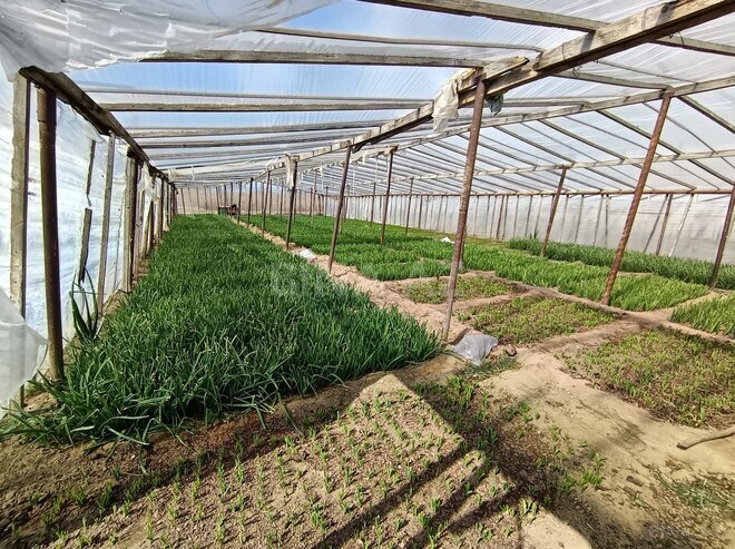 Продаётся 4-комн. дом/дача 80 м², пос. Тюркан, photo 21 from 30