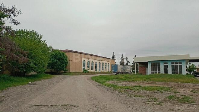 Продаётся  участок 120 сот, photo 4 from 7