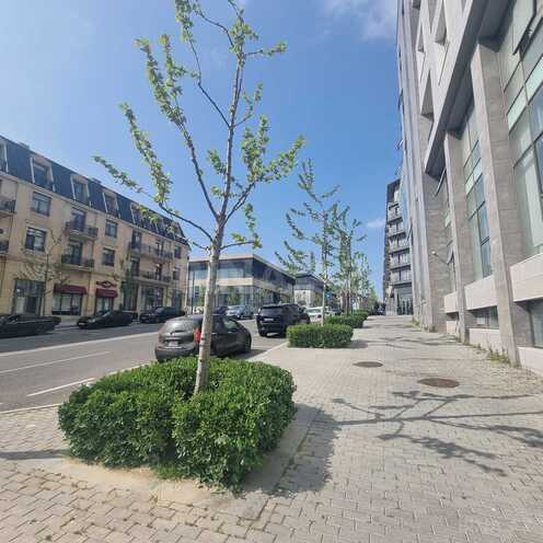 Сдаётся  объект 530 м², пос. Аг шехер, photo 8 from 9