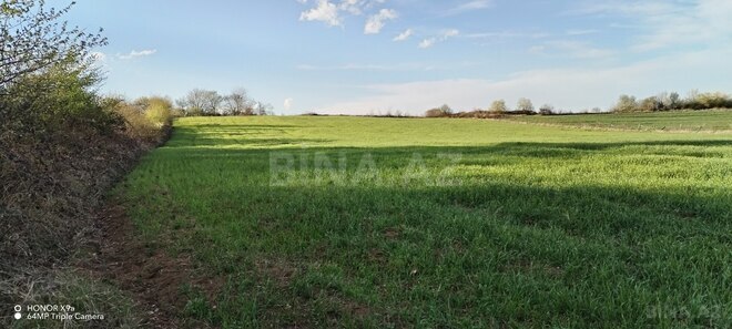 Продаётся  участок 100 сот, photo 18 from 32