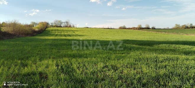 Продаётся  участок 100 сот, photo 15 from 32