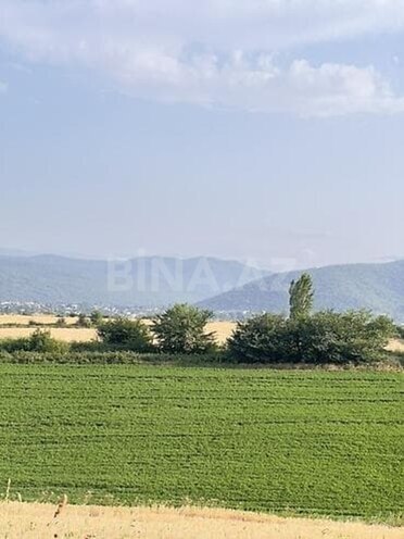 Продаётся  участок 130 сот, photo 3 from 5