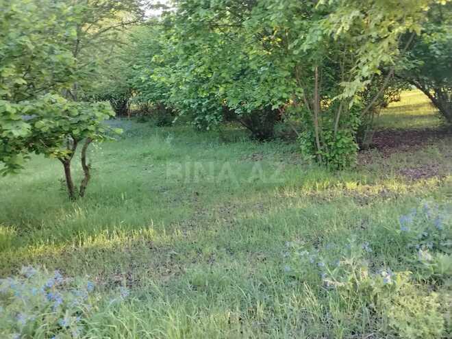 Продаётся  участок 50 сот, photo 5 from 12