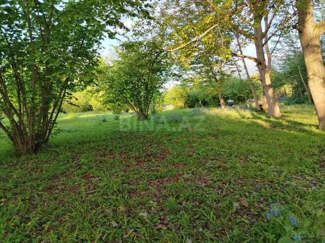 Продаётся  участок 50 сот, photo 7 from 12