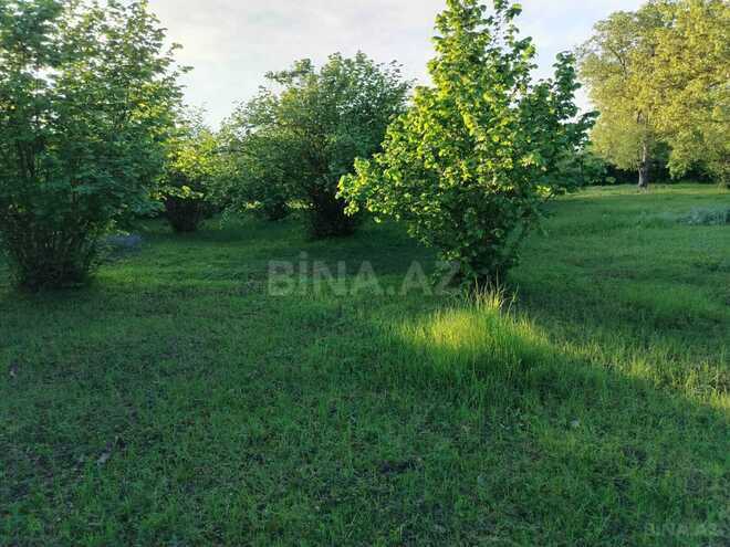 Продаётся  участок 50 сот, photo 9 from 12