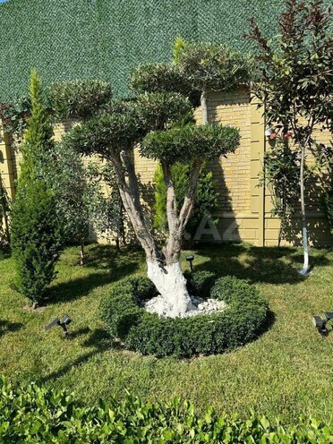 İcarəyə verilir 4 otaqlı həyət evi/bağ evi 300 m², Mərdəkan q., photo 13 from 32