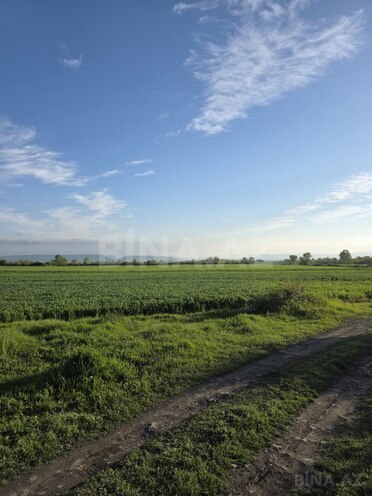 Продаётся  участок 113 сот, photo 5 from 6