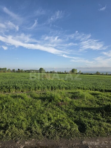 Продаётся  участок 113 сот, photo 4 from 6