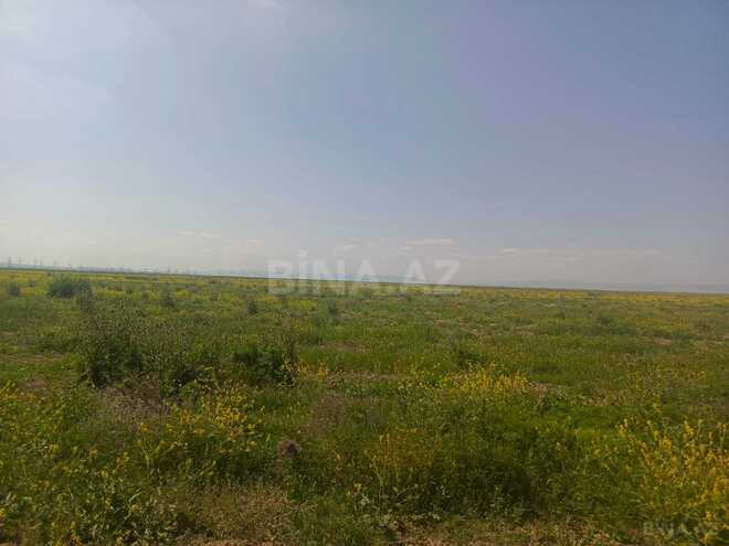Продаётся  объект 50 000 м², пос. Аляты, photo 13 from 19
