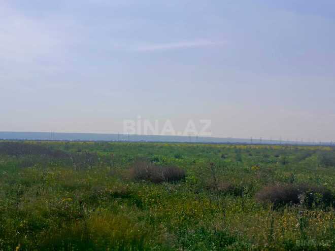 Продаётся  объект 50 000 м², пос. Аляты, photo 16 from 19
