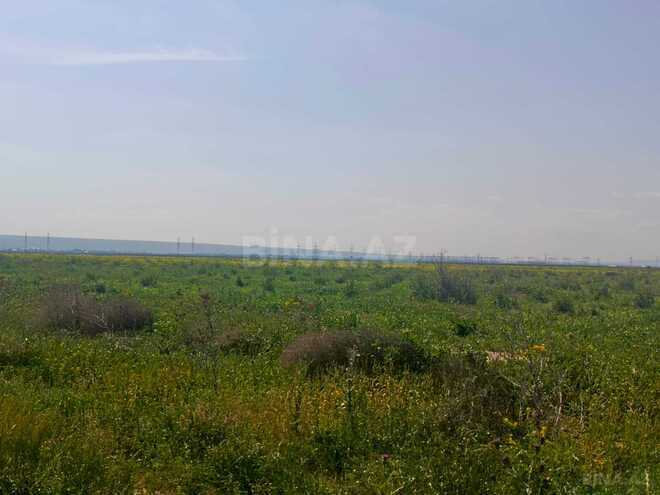 Продаётся  объект 50 000 м², пос. Аляты, photo 18 from 19