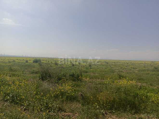 Продаётся  объект 50 000 м², пос. Аляты, photo 14 from 19