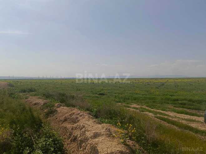 Продаётся  объект 50 000 м², пос. Аляты, photo 17 from 19