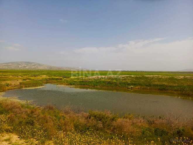 Продаётся  объект 50 000 м², пос. Аляты, photo 1 from 19