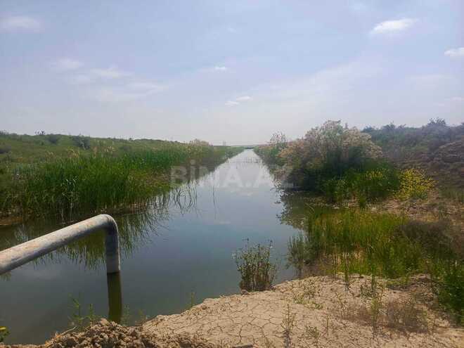 Продаётся  объект 50 000 м², пос. Аляты, photo 6 from 19