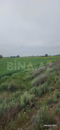 Продаётся  участок 550 сот, photo 10 from 13
