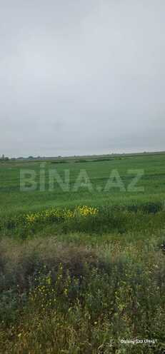 Продаётся  участок 550 сот, photo 11 from 13