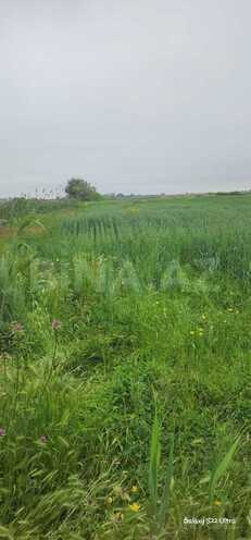 Продаётся  участок 550 сот, photo 3 from 13