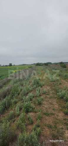 Продаётся  участок 550 сот, photo 12 from 13
