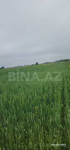 Продаётся  участок 550 сот, photo 5 from 13