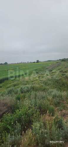 Продаётся  участок 550 сот, photo 6 from 13