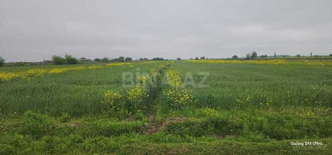 Продаётся  участок 550 сот, photo 1 from 13
