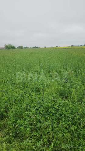 Продаётся  участок 550 сот, photo 4 from 13