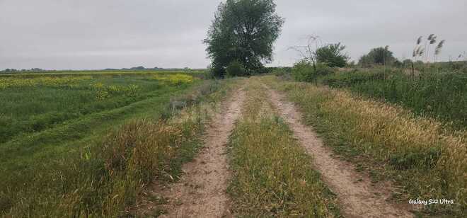 Продаётся  участок 550 сот, photo 9 from 13