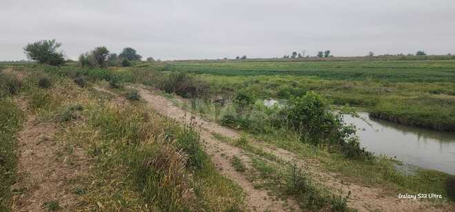 Продаётся  участок 550 сот, photo 8 from 13