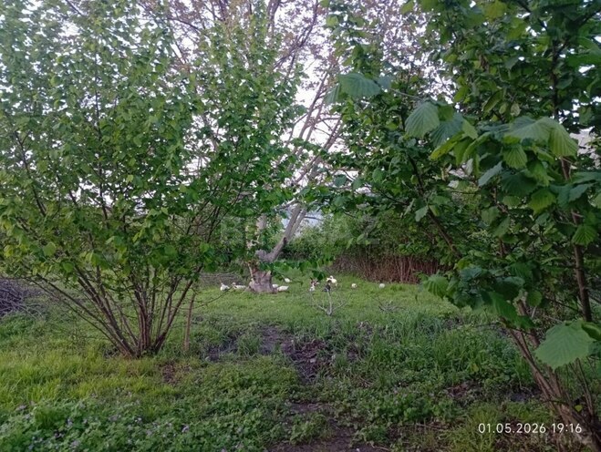 Продаётся  участок 40 сот, photo 5 from 15