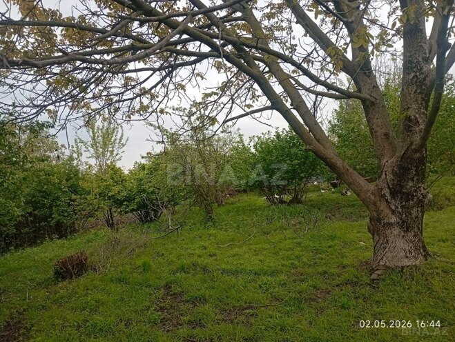 Продаётся  участок 40 сот, photo 10 from 15
